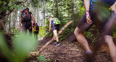 hikers on a forest trail experiencing nature adventure outdoor exploration